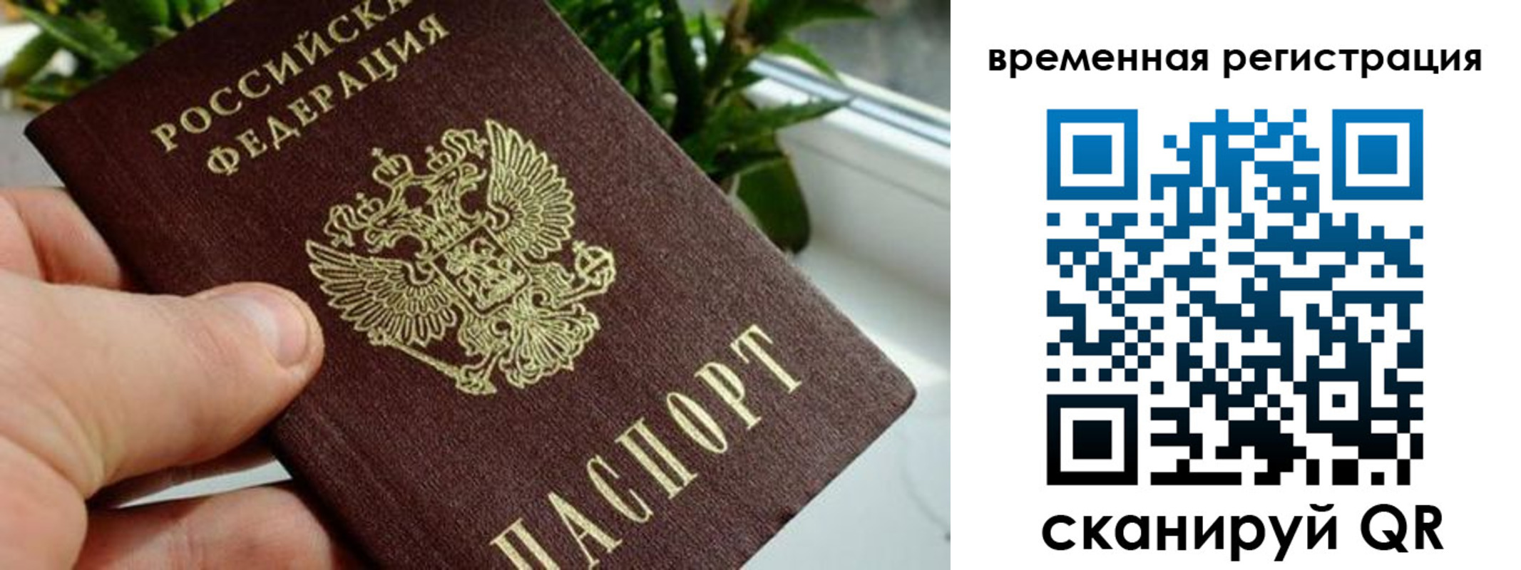 прописка поиск в Тереке